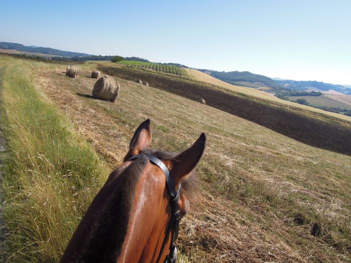 Chianti Castles & Wine Ride