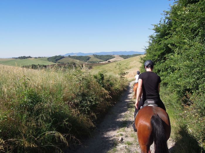 Chianti Castles & Wine Ride