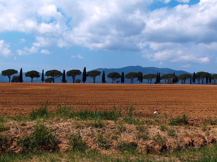 Chianti Castles & Wine Ride