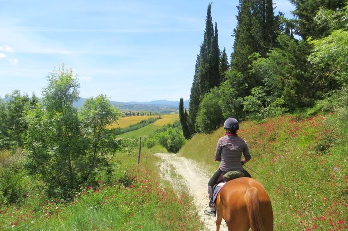 Chianti Castles & Wine Ride