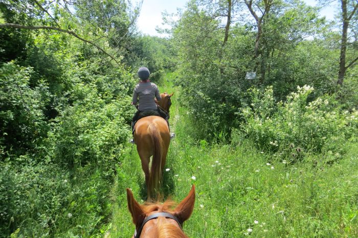 Chianti Castles & Wine Ride