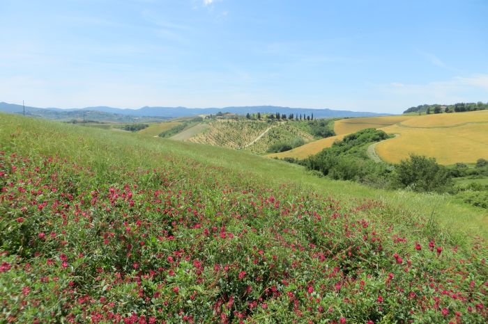 Chianti Castles & Wine Ride
