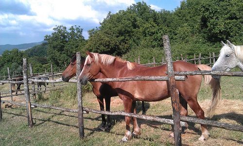 Etruscan Adventure Ride