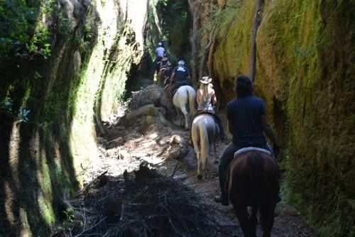 Etruscan Adventure Ride
