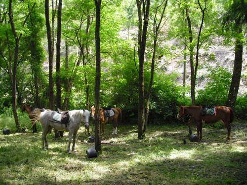 Etruscan Adventure Ride