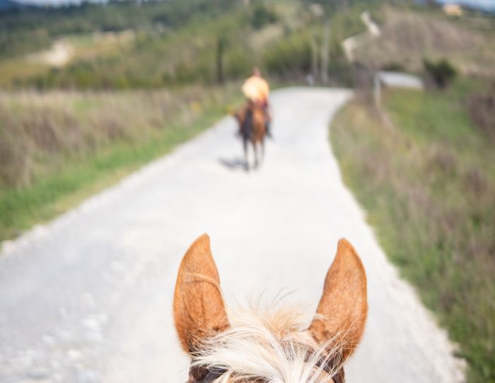 Etruscan Adventure Ride