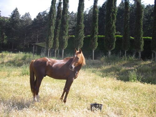 Etruscan Adventure Ride