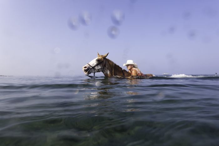 Riding holiday at the beach resort