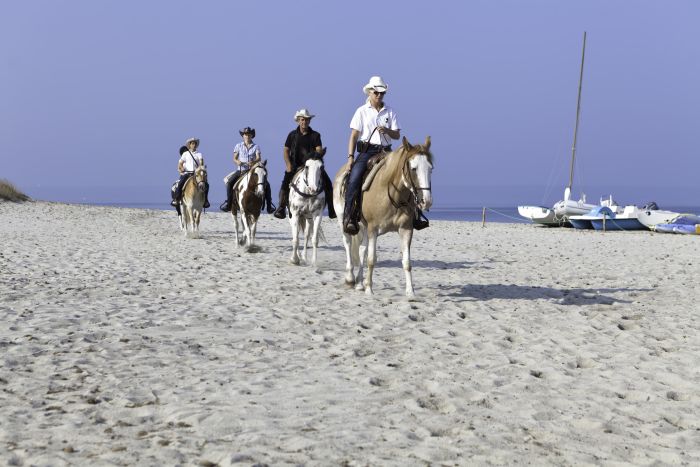 Riding holiday at the beach resort
