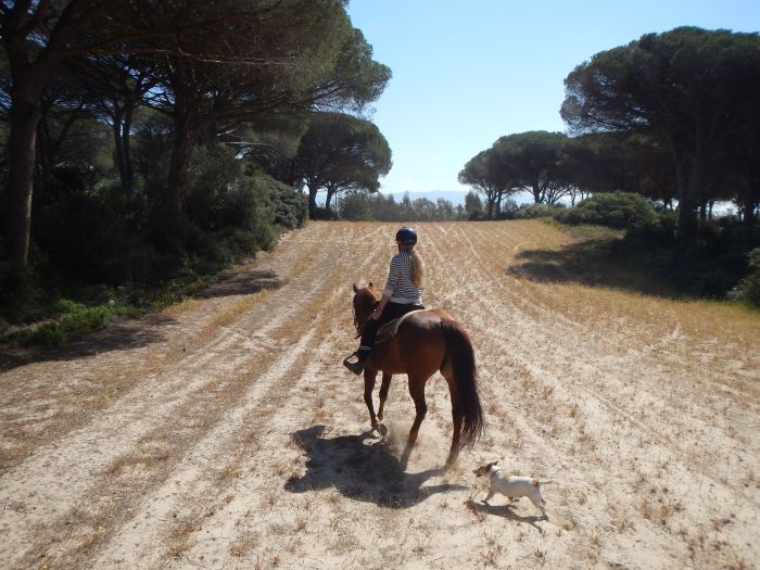 Riding holiday at the beach resort