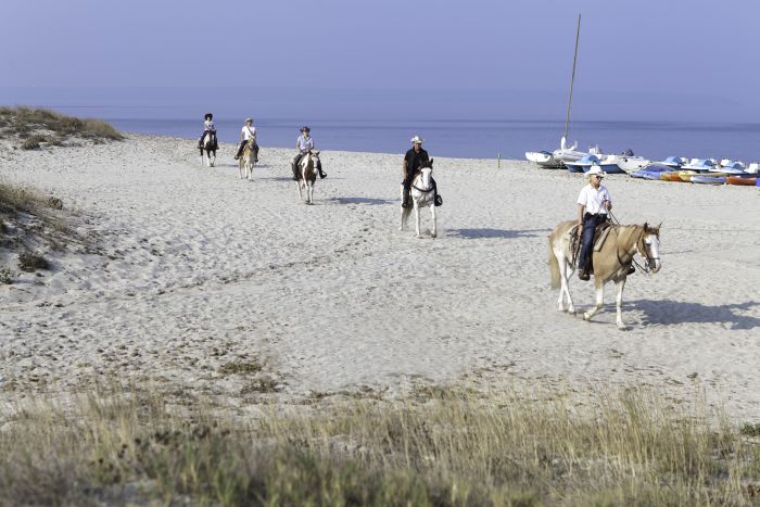 Riding holiday at the beach resort