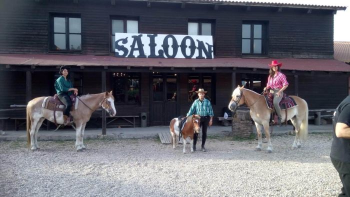 Riding holiday at the beach resort