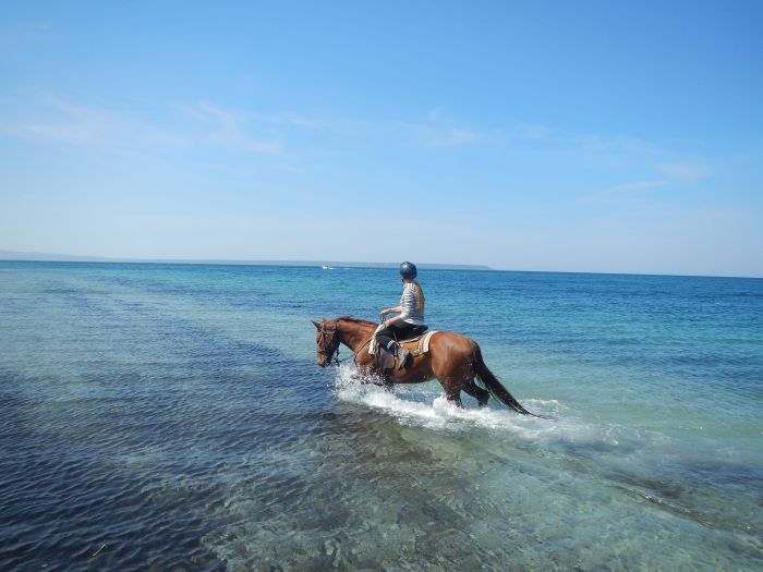 Riding holiday at the beach resort