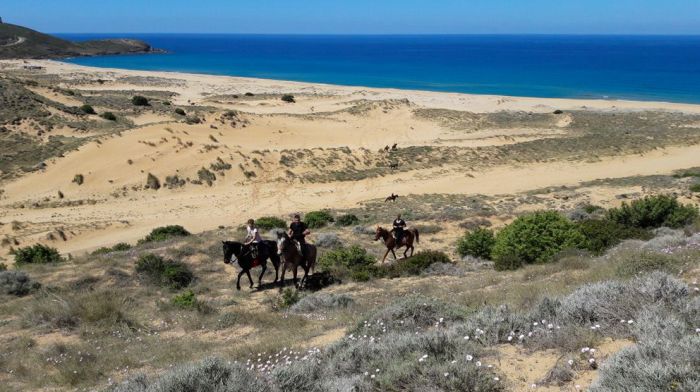 Riding holiday at the beach resort