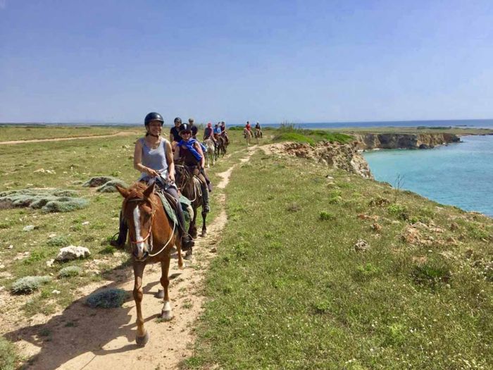 Riding holiday at the beach resort