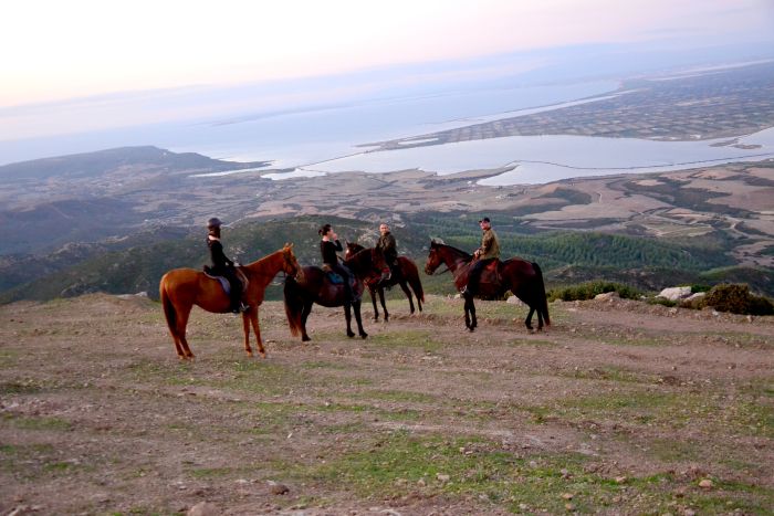 Riding holiday at the beach resort