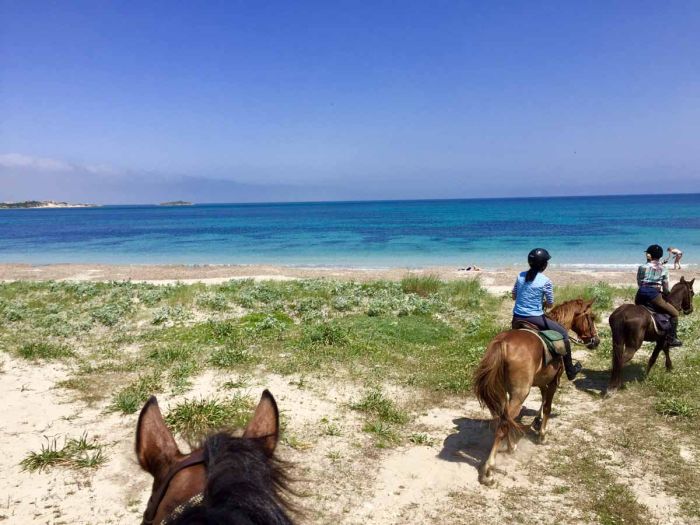 Riding holiday at the beach resort