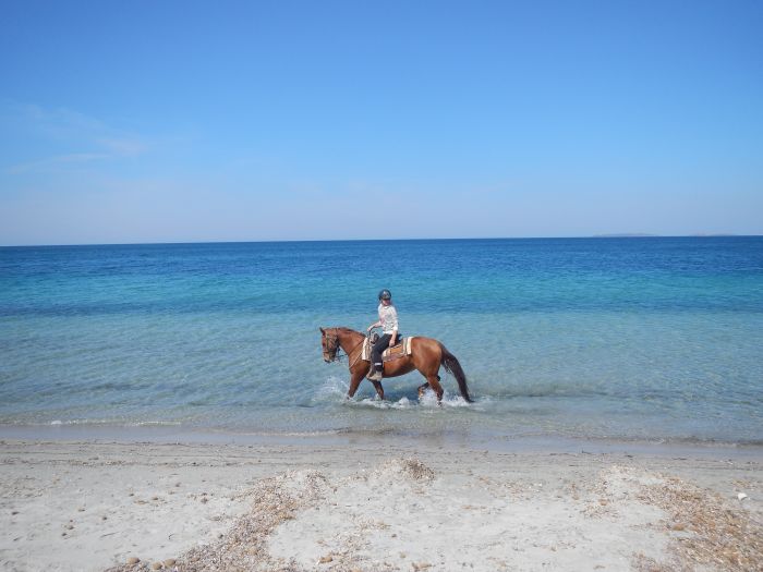 Riding holiday at the beach resort