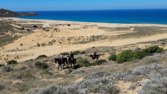 Riding holiday at the beach resort