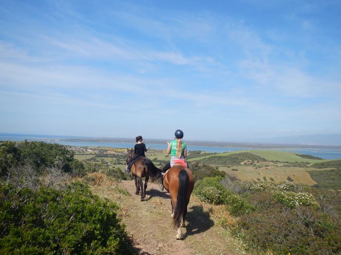 Riding holiday at the beach resort