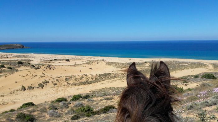 Riding holiday at the beach resort