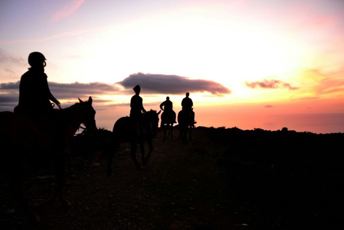 Riding holiday at the beach resort