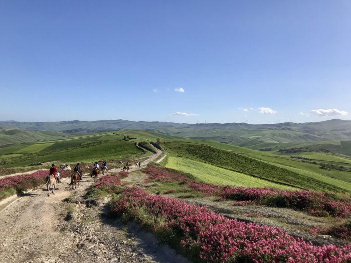  Sicily Coastal Crossing