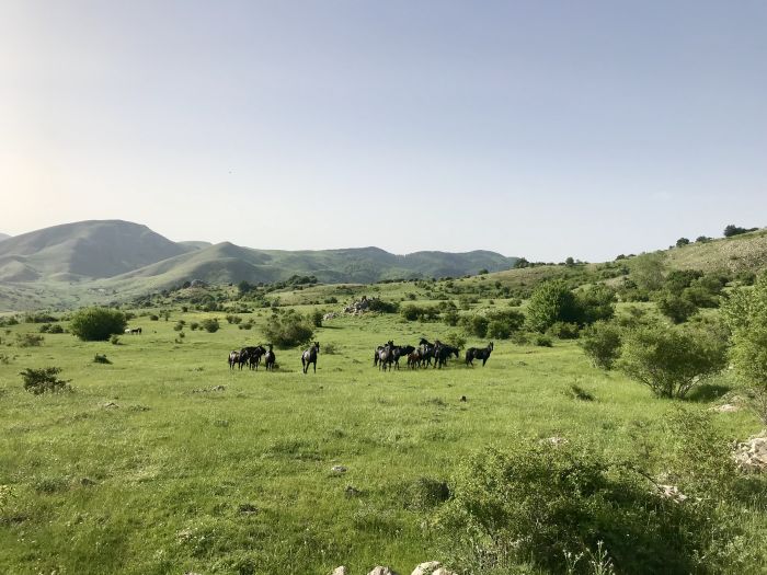 Etna Odyssey Ride through Sicily