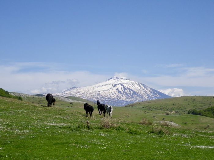 Etna Odyssey Ride through Sicily
