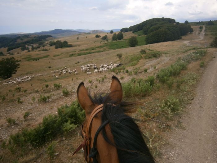 Etna Odyssey Ride through Sicily
