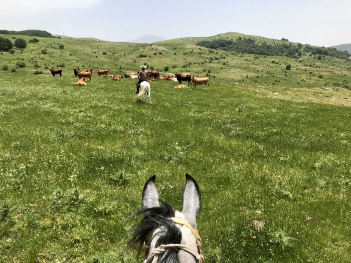 Etna Odyssey Ride through Sicily