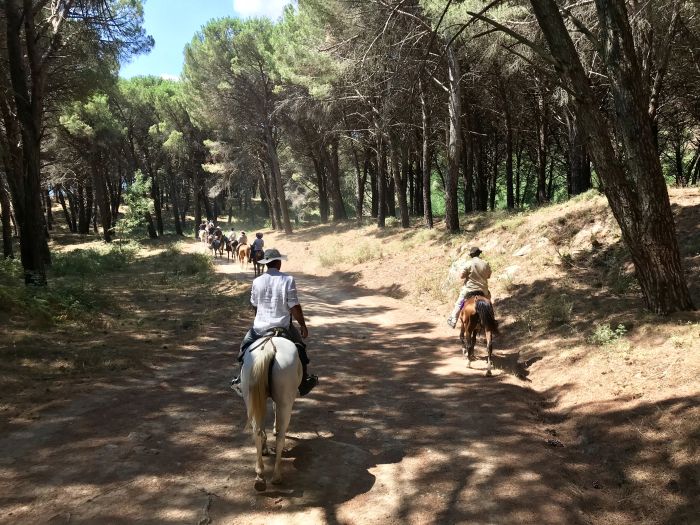 Etna Odyssey Ride through Sicily