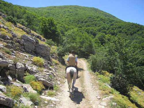 Madonie Nature Park Ride in Sicily
