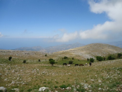 Madonie Nature Park Ride in Sicily