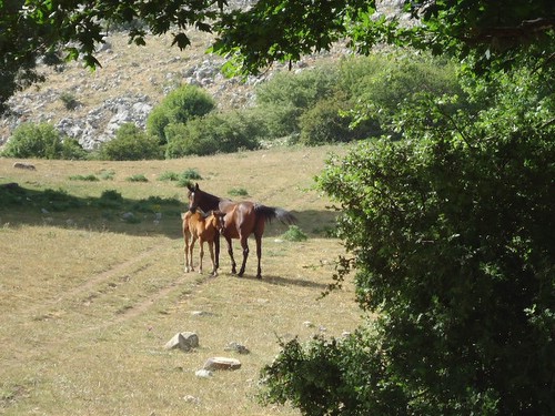 Madonie Nature Park Ride in Sicily