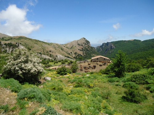 Madonie Nature Park Ride in Sicily