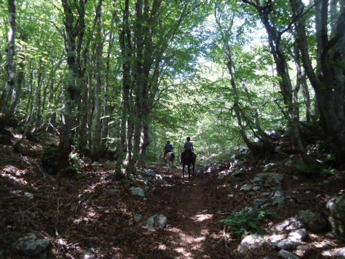Madonie Nature Park Ride in Sicily