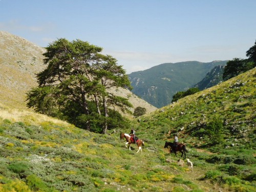 Madonie Nature Park Ride in Sicily