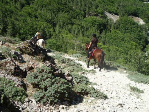 Madonie Nature Park Ride in Sicily