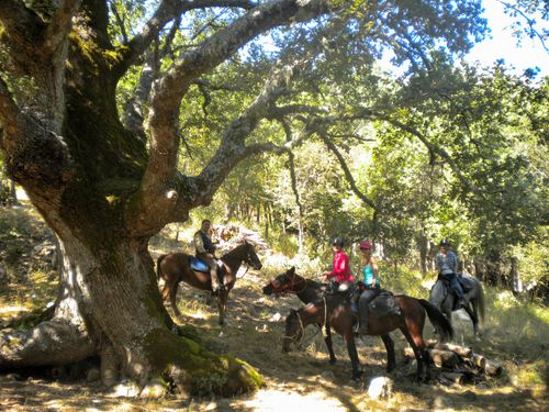 Madonie Nature Park Ride in Sicily