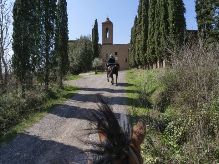 Horse riding and enjoyment in Montalcino