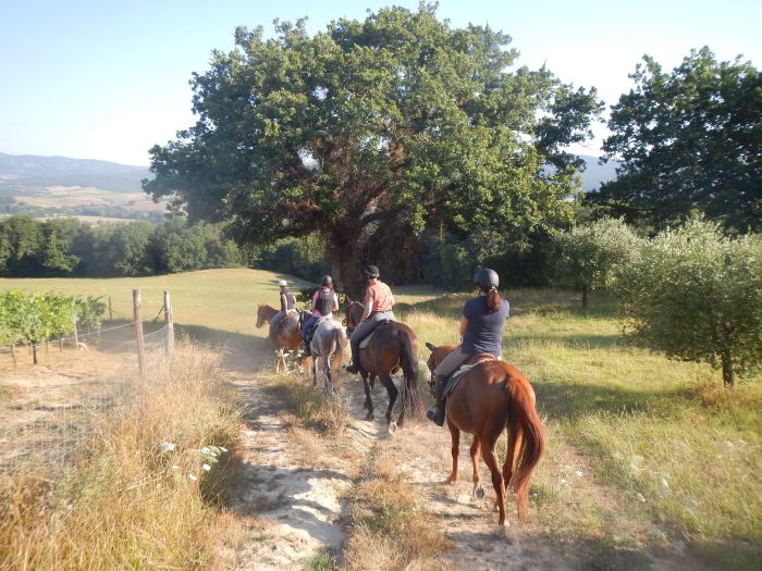 Horse riding and enjoyment in Montalcino