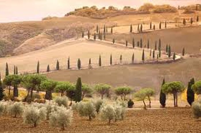 Horse riding and enjoyment in Montalcino