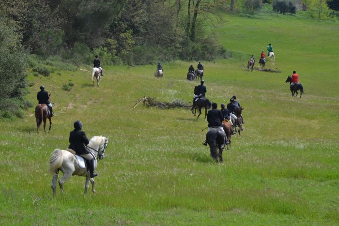 Horse riding and enjoyment in Montalcino