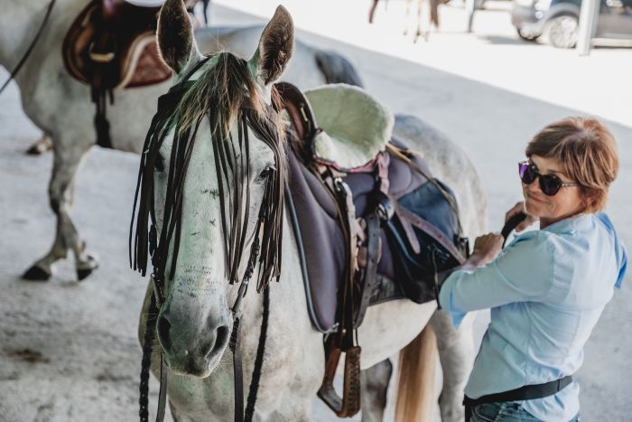 Horse riding and enjoyment in Montalcino