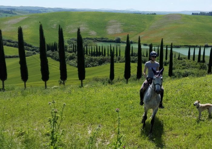 Horse riding and enjoyment in Montalcino