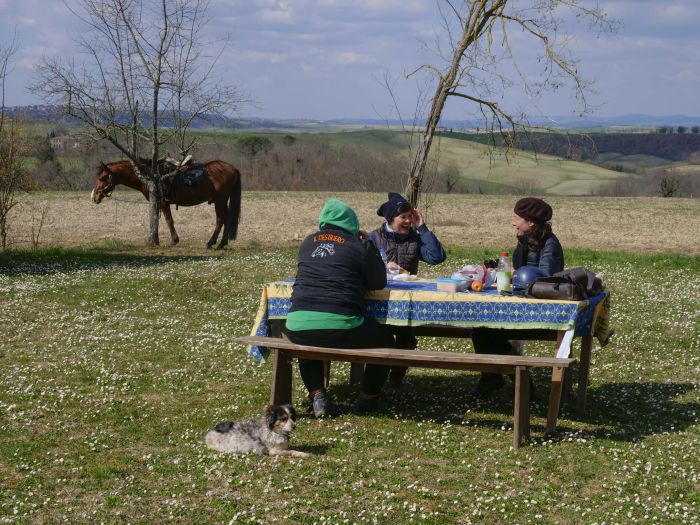 Horse riding and enjoyment in Montalcino
