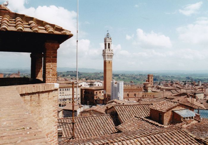 Horse riding and enjoyment in Montalcino