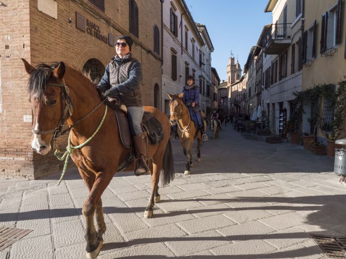 Horse riding and enjoyment in Montalcino