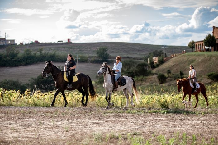 Horse riding and enjoyment in Montalcino